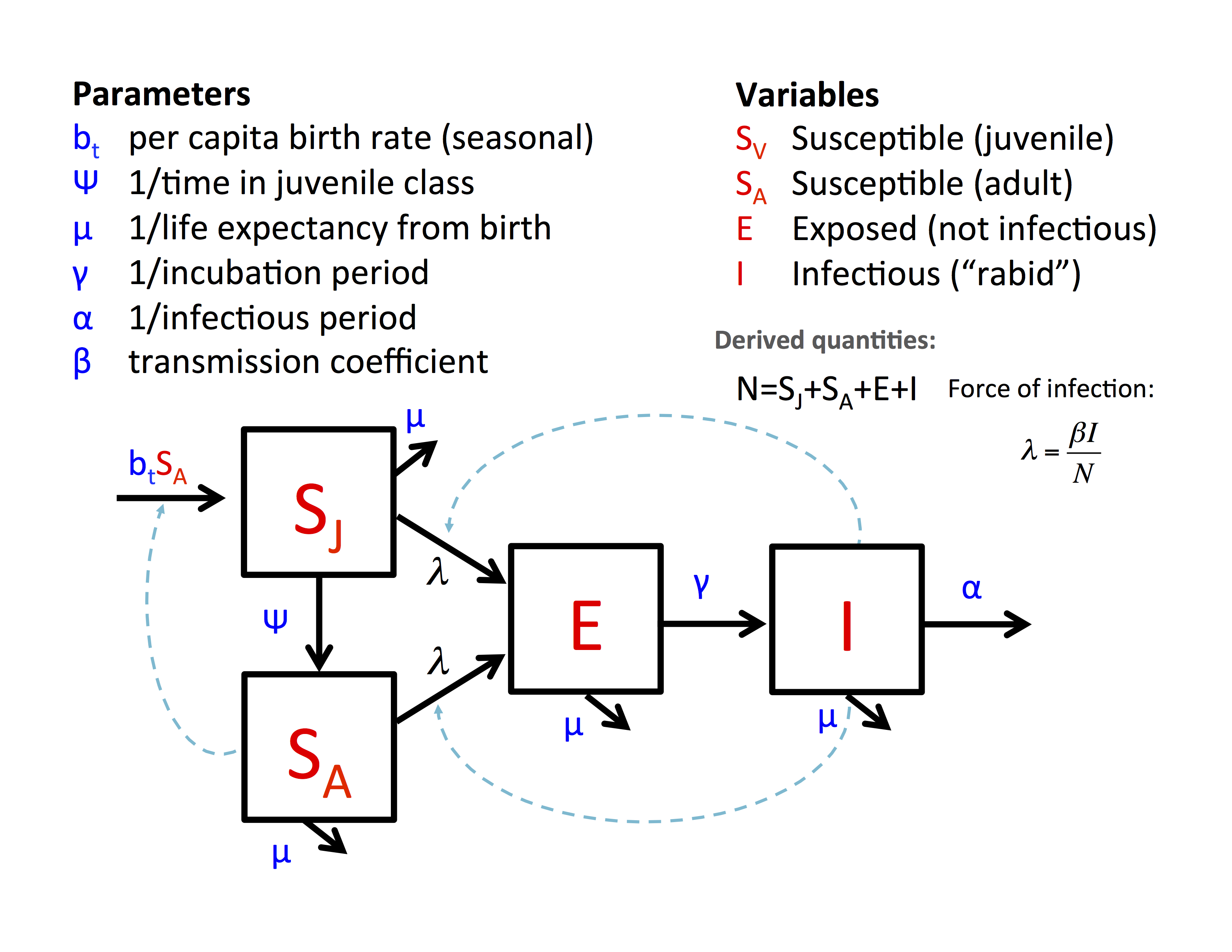 Example model diagram